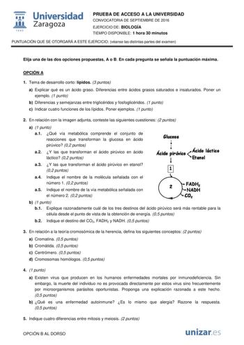 t Universidad fil Zaragoza 1S42 PRUEBA DE ACCESO A LA UNIVERSIDAD CONVOCATORIA DE SEPTIEMBRE DE 2016 EJERCICIO DE BIOLOGÍA TIEMPO DISPONIBLE 1 hora 30 minutos PUNTUACIÓN QUE SE OTORGARÁ A ESTE EJERCICIO véanse las distintas partes del examen Elija una de las dos opciones propuestas A o B En cada pregunta se señala la puntuación máxima OPCIÓN A 1 Tema de desarrollo corto lípidos 3 puntos a Explicar qué es un ácido graso Diferencias entre ácidos grasos saturados e insaturados Poner un ejemplo 1 p…