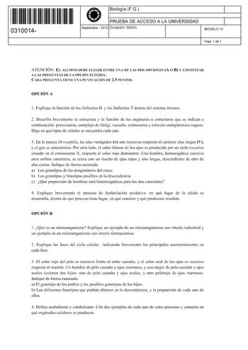 11 1111 1 111 111 111 11 11 0310014  Biología FG PRUEBA DE ACCESO A LA UNIVERSIDAD Septiembre  2012 Duración 90min 1 1 MODELO 13 Hoja 1 de 1 ATENCIÓN EL ALUMNO DEBE ELEGIR ENTRE UNA DE LAS DOS OPCIONES A O B Y CONTESTAR A LAS PREGUNTAS DE LA OPCIÓN ELEGIDA CADA PREGUNTA TIENE UNA PUNTUACIÓN DE 25 PUNTOS OPCIÓN A 1 Explique la función de los linfocitos B y los linfocitos T dentro del sistema inmune 2 Describa brevemente la estructura y la función de los orgánulos o estructuras que se indican a c…