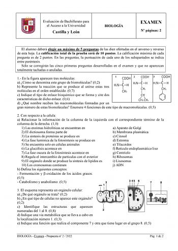 Evaluación de Bachillerato para el Acceso a la Universidad Castilla y León BIOLOGÍA EXAMEN N páginas 2 El alumno deberá elegir un máximo de 5 preguntas de las diez ofertadas en el anverso y reverso de esta hoja La calificación total de la prueba será de 10 puntos La calificación máxima de cada pregunta es de 2 puntos En las preguntas la puntuación de cada uno de los subapartados se indica entre paréntesis Sólo se corregirán las cinco primeras preguntas desarrolladas en el examen y que no aparez…