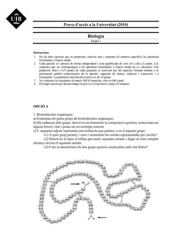 UIB M Prova daccés a la Universitat 2010 Biologia Model 1 Instruccions 1 De les dues opcions que us proposam triaune una i responeu de manera específica les qestions formulades a lopció triada 2 Cada qestió es valorar de forma independent i ser qualificada de zero 0 a dos 2 punts Les respostes que no corresponguin a les qestions formulades a lopció triada no es valoraran Una proporció fins a 025 punts de cada pregunta es reservar per als aspectes formals relatius a la presentació global estruct…