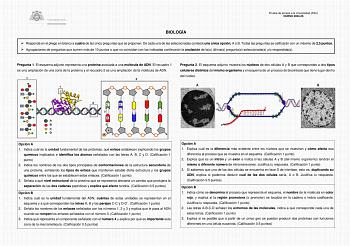 Examen de Biología (EBAU de 2025)