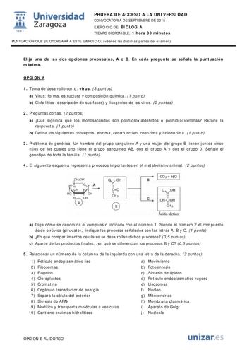 t Universidad fil Zaragoza 1S42 PRUEBA DE ACCESO A LA UNIVERSIDAD CONVOCATORIA DE SEPTIEMBRE DE 2015 EJERCICIO DE BIOLOGÍA TIEMPO DISPONIBLE 1 hora 30 minutos PUNTUACIÓN QUE SE OTORGARÁ A ESTE EJERCICIO véanse las distintas partes del examen Elija una de las dos opciones propuestas A o B En cada pregunta se señala la puntuación máxima OPCIÓN A 1 Tema de desarrollo corto virus 3 puntos a Virus forma estructura y composición química 1 punto b Ciclo lítico descripción de sus fases y lisogénico de …