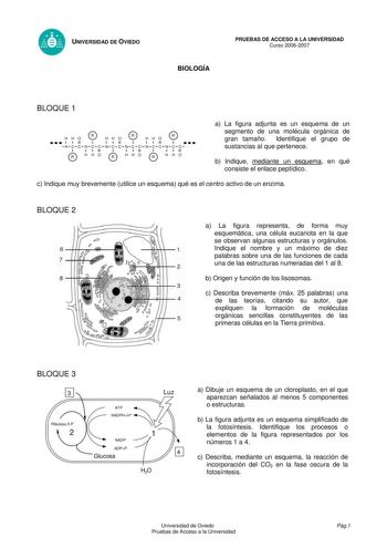 UNIVERSIDAD DE OVIEDO BIOLOGÍA PRUEBAS DE ACCESO A LA UNIVERSIDAD Curso 20062007 BLOQUE 1  HHO 1 1 11 NCC o1 R oR 1 NCC 1 1 11 HHO HHO 1 1 11 NCC o1 R oR 1 NCC 1 1 11 HHO HHO 1 1 11 NCC o1 R oR 1  NCC 1 1 11 HHO a La figura adjunta es un esquema de un segmento de una molécula orgánica de gran tamaño Identifique el grupo de sustancias al que pertenece b Indique mediante un esquema en qué consiste el enlace peptídico c Indique muy brevemente utilice un esquema qué es el centro activo de un enzima…