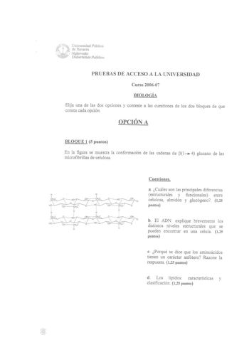 f ii Universidad Pública t 1  de Navarra     Nafcmvako Unibertsitate Publikoa PRUEBAS DE ACCESO A LA UNIVERSIDAD Curso 200607 BIOLOGÍA Elija una de las dos opciones y conteste a las cuestiones de los dos bloques de que consta cada opción OPCIÓN A BLOQUE 1 5 puntos En la figura se muestra la conformación de las cadenas de 1 4 glucano de las microfibrillas de celulosa H  H 1r 1  OHC 0    I     OH   1 OHC o  O    H O  T O H o H OOH    OHC O H  9    0 H  C O   H H 1 OHC   HOJ7o HI OH60   O H       …