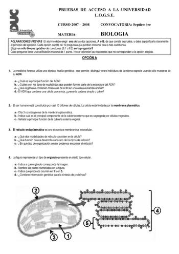 Examen de Biología (selectividad de 2008)