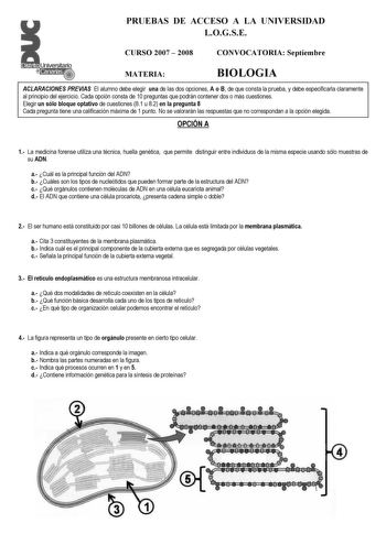 PRUEBAS DE ACCESO A LA UNIVERSIDAD LOGSE CURSO 2007  2008 CONVOCATORIA Septiembre MATERIA BIOLOGIA ACLARACIONES PREVIAS El alumno debe elegir una de las dos opciones A o B de que consta la prueba y debe especificarla claramente al principio del ejercicio Cada opción consta de 10 preguntas que podrán contener dos o más cuestiones Elegir un sólo bloque optativo de cuestiones 81 u 82 en la pregunta 8 Cada pregunta tiene una calificación máxima de 1 punto No se valorarán las respuestas que no corre…