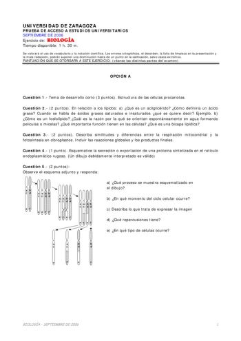 Examen de Biología (selectividad de 2006)