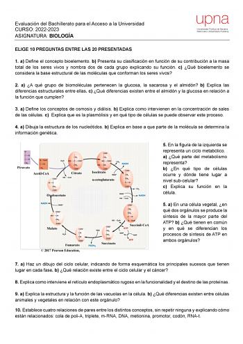 Evaluación del Bachillerato para el Acceso a la Universidad CURSO 20222023 ASIGNATURA BIOLOGÍA ELIGE 10 PREGUNTAS ENTRE LAS 20 PRESENTADAS 1 a Define el concepto bioelemento b Presenta su clasificación en función de su contribución a la masa total de los seres vivos y nombra dos de cada grupo explicando su función c Qué bioelemento se considera la base estructural de las moléculas que conforman los seres vivos 2 a A qué grupo de biomoléculas pertenecen la glucosa la sacarosa y el almidón b Expl…