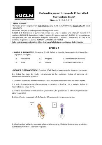 Evaluación para el Acceso a la Universidad Convocatoria de 2017 CAMPUS DE EXCELENOA INTERNACIONAL Materia B I O L O G Í A INSTRUCCIONES  Para esta prueba se presentan DOS OPCIONES A y B EL ALUMNO DEBERÁ ELEGIR UNA DE ELLAS COMPLETA   Cada OPCIÓN A o B está organizada de la siguiente forma BLOQUE 1 6 definiciones 3 puntos 05 puntos cada una Se espera una extensión máxima de 4 renglones BLOQUE 2 6 cuestiones cortas 3 puntos 05 puntos cada una BLOQUE 3 2 preguntas con tres apartados cada una basad…