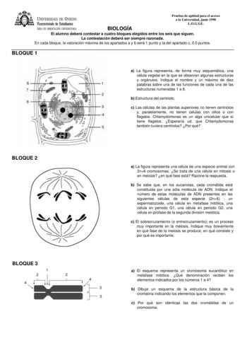 UNIVERSIDAD DE VIEDO Vicerrectorado de Estudiantes ÁREA DE ORIENTACIÓN UNIVERSITARIA BIOLOGÍA Pruebas de aptitud para el acceso a la Universidad junio 1998 LOGSE El alumno deberá contestar a cuatro bloques elegidos entre los seis que siguen La contestación deberá ser siempre razonada En cada bloque la valoración máxima de los apartados a y b será 1 punto y la del apartado c 05 puntos BLOQUE 1 lld  lflÍII     a La figura representa de forma muy esquemática una célula vegetal en la que se observa…