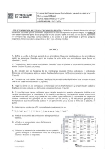 UNIVERSIDAD DE LA RIOJA Prueba de Evaluación de Bachillerato para el Acceso a la Universidad EBAU Curso Académico 20182019 ASIGNATURA BIOLOGÍA LEER ATENTAMENTE ANTES DE COMENZAR LA PRUEBA Cada alumno deberá desarrollar sólo una de las dos opciones que se presentan Especificar al inicio del ejercicio la opción elegida En NINGÚN caso deberá contestar parte de las preguntas de una opción y parte de la otra Si eso ocurre solamente se corregirán las preguntas correspondientes a la opción a la que pe…