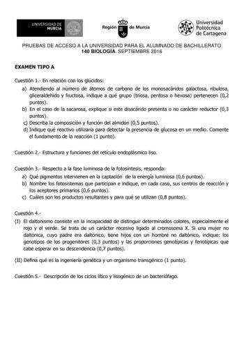 UN IVERS IDAD DE 1   MURCIA 1  Ih Región de Murcia Universidad Politécnica de Cartagena PRUEBAS DE ACCESO A LA UNIVERSIDAD PARA EL ALUMNADO DE BACHILLERATO 140 BIOLOGÍA SEPTIEMBRE 2016 EXAMEN TIPO A Cuestión 1 En relación con los glúcidos a Atendiendo al número de átomos de carbono de los monosacáridos galactosa ribulosa gliceraldehido y fructosa indique a qué grupo triosa pentosa o hexosa pertenecen 02 puntos b En el caso de la sacarosa explique si este disacárido presenta o no carácter reduct…