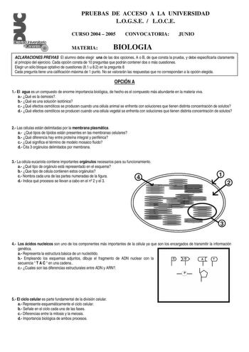 PRUEBAS DE ACCESO A LA UNIVERSIDAD LOGSE  LOCE CURSO 2004  2005 CONVOCATORIA JUNIO MATERIA BIOLOGIA ACLARACIONES PREVIAS El alumno debe elegir una de las dos opciones A o B de que consta la prueba y debe especificarla claramente al principio del ejercicio Cada opción consta de 10 preguntas que podrán contener dos o más cuestiones Elegir un sólo bloque optativo de cuestiones 81 u 82 en la pregunta 8 Cada pregunta tiene una calificación máxima de 1 punto No se valorarán las respuestas que no corr…