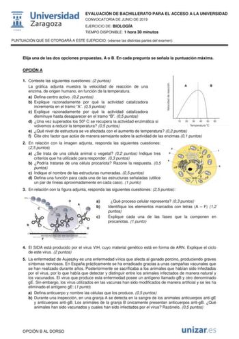 EVALUACIÓN DE BACHILLERATO PARA EL ACCESO A LA UNIVERSIDAD CONVOCATORIA DE JUNIO DE 2019 EJERCICIO DE BIOLOGÍA TIEMPO DISPONIBLE 1 hora 30 minutos PUNTUACIÓN QUE SE OTORGARÁ A ESTE EJERCICIO véanse las distintas partes del examen Elija una de las dos opciones propuestas A o B En cada pregunta se señala la puntuación máxima OPCIÓN A 1 Conteste las siguientes cuestiones 2 puntos La gráfica adjunta muestra la velocidad de reacción de una enzima de origen humano en función de la temperatura a Defin…