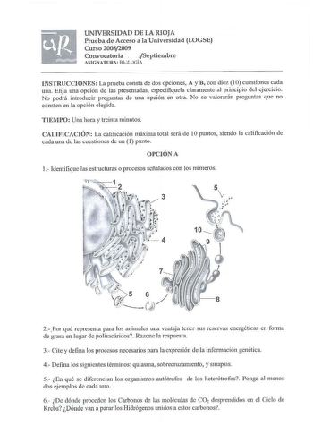 UNIVERSIDAD DE LA RIOJA Prueba de Acceso a la Universidad LOGSE Curso 20082009 Convocatoria  JSeptiembre ASIGNATURA BI0L0GÍA INSTRUCCIONES  La prueba consta de dos opciones A y B con diez 1 O cuestiones cada una Elija una opción de las presentadas cspecifíquela claramente al principio del ejercicio No podrá introducir preguntas de una opción en otra No se valorarán pregrnltas que no consten en la opción elegida TIEMIO Una hora y treinta minutos CALI FICACIÓN La calificación máxima total será de…