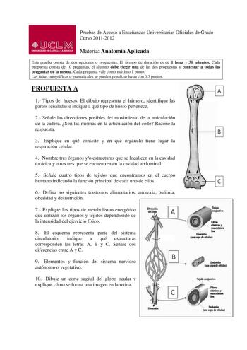 Pruebas de Acceso a Enseñanzas Universitarias Oficiales de Grado Curso 20112012 Materia Anatomía Aplicada Esta prueba consta de dos opciones o propuestas El tiempo de duración es de 1 hora y 30 minutos Cada propuesta consta de 10 preguntas el alumno debe elegir una de las dos propuestas y contestar a todas las preguntas de la misma Cada pregunta vale como máximo 1 punto Las faltas ortográficas o gramaticales se pueden penalizar hasta con 05 puntos PROPUESTA A 1 Tipos de huesos El dibujo represe…