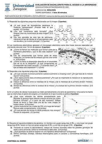 EVALUACIÓN DE BACHILLERATO PARA EL ACCESO A LA UNIVERSIDAD CONVOCATORIA EXTRAORDINARIA DE 2023 EJERCICIO DE BIOLOGÍA TIEMPO DISPONIBLE 1 hora 30 minutos PUNTUACIÓN QUE SE OTORGARÁ A ESTE EJERCICIO véanse las distintas partes del examen 1 Responda las siguientes preguntas relacionadas con la imagen 2 puntos a A qué grupo de biomoléculas pertenece la molécula representada Precise todo lo que pueda 03 puntos b Por qué monómeros está formada Qué enlaces unen los monómeros de esta imagen 05 puntos c…