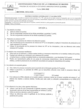 UNIVERSIDADES PÚBLICAS DE LA COMUNIDAD DE MADRID PRUEBA DE ACCESO A ESTU DIOS UNIVERSITARIOS LOGSE JNIVERSfDAD AUTONOMA i u1m1f1íJ Curso 20042005 MATERIA BIOLOGÍA Junio Septiembre R l R2 JNSTRUCCIONES GENERALES Y VALORACIÓN Estructura de Ja prueba la prueba se corop0ne de dos opciones A y B cLda una de las cuales consta de5 preguntas que a su ve1 comprenden varias cuestiones Sólo se podrá contestar una de las dos opeiones desarrollando íotegramenlcsu contenido En el easo de mezclar preguntas de…