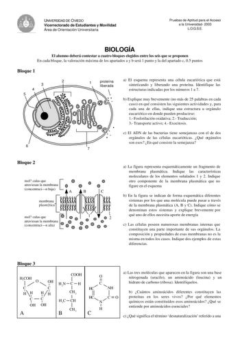 UNIVERSIDAD DE OVIEDO Vicerrectorado de Estudiantes y Movilidad Área de Orientación Universitaria Pruebas de Aptitud para el Acceso a la Universidad 2003 LOGSE BIOLOGÍA El alumno deberá contestar a cuatro bloques elegidos entre los seis que se proponen En cada bloque la valoración máxima de los apartados a y b será 1 punto y la del apartado c 05 puntos Bloque 1 2 3 4 5 1 proteína liberada a El esquema representa una célula eucariótica que está sintetizando y liberando una proteína Identifique l…