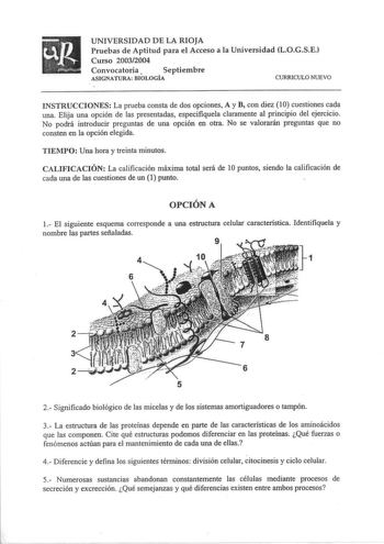 UNIVERSIDAD DE LA RIOJA Pruebas de Aptitud para el Acceso a la Universidad LOGSE Curso 20032004 Convocatoria  Septiembre ASIGNATURA BIOLOGÍA CURRICULO NUEVO INSTRUCCIONES La prueba consta de dos opciones Ay B con diez 10 cuestiones cada una Elija una opción de las presentadas especifiquela claramente al principio del ejercicio No podrá introducir preguntas de una opción en otra No se valorarán preguntas que no consten en la opción elegida TIEMPO Una hora y treinta minutos CALIFICACIÓN La califi…