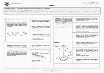 BIOLOGÍA Prueba de evaluación de Bachillerato para el acceso a la Universidad EBAU Curso 20202021 Después de leer atentamente el examen responda cinco preguntas cualesquiera a elegir entre las diez que se proponen TIEMPO Y CALIFICACIÓN 90 minutos Todas las preguntas se calificarán con un máximo de 2 puntos El estudiante deberá indicar la agrupación de preguntas que responderá La selección de preguntas deberá realizarse conforme a las instrucciones planteadas no siendo válido seleccionar pregunt…