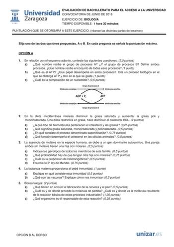 1111111 w1J1 1 542 Universidad EVALUACIÓN DE BACHILLERATO PARA EL ACCESO A LA UNIVERSIDAD CONVOCATORIA DE JUNIO DE 2018 Zaragoza EJERCICIO DE BIOLOGÍA TIEMPO DISPONIBLE 1 hora 30 minutos PUNTUACIÓN QUE SE OTORGARÁ A ESTE EJERCICIO véanse las distintas partes del examen Elija una de las dos opciones propuestas A o B En cada pregunta se señala la puntuación máxima OPCIÓN A 1 En relación con el esquema adjunto conteste las siguientes cuestiones 25 puntos a Qué nombre recibe el grupo de procesos A …