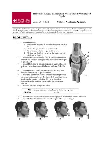 Pruebas de Acceso a Enseñanzas Universitarias Oficiales de Grado Curso 20142015 Materia Anatomía Aplicada Esta prueba consta de dos opciones o propuestas El tiempo de duración es de 1 hora y 30 minutos Cada propuesta consta de 8 preguntas el alumno debe elegir una de las dos propuestas y contestar a todas las preguntas de la misma Las faltas ortográficas o gramaticales se pueden penalizar hasta con 05 puntos PROPUESTA A 1 1 punto Complete a El nivel más pequeño de organización de un ser vivo es…