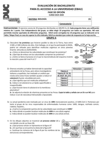 EVALUACIÓN DE BACHILLERATO PARA EL ACCCESO A LA UNIVERSIDAD EBAU FASE DE OPCIÓN CURSO 20192020 MATERIA BIOLOGÍA 3 Convocatoria Instrucciones El ejercicio consta de 20 preguntas distribuidas en GRUPO A y B Cada pregunta tiene una calificación máxima de 1 punto Con independencia del grupo se debe elegir 10 preguntas con todos sus apartados NO está permitido mezclar apartados de diferentes preguntas SOLO serán corregidas las 10 preguntas que se indicarán en la Tabla  Mapa Final en caso de superar …