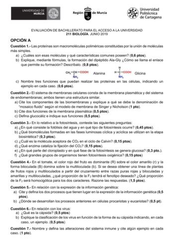 EVALUACIÓN DE BACHILLERATO PARA EL ACCESO A LA UNIVERSIDAD 211 BIOLOGÍA JUNIO 2019 OPCIÓN A Cuestión 1 Las proteínas son macromoléculas poliméricas constituidas por la unión de moléculas más simples a Cuáles son esas moléculas y qué características comunes poseen 06 ptos b Explique mediante fórmulas la formación del dipéptido AlaGly Cómo se llama el enlace que permite su formación Descríbalo 08 ptos Alanina Glicina c Nombre tres funciones que puedan realizar las proteínas en las células indican…