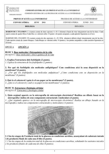 GENERALITAT VALENCIANA CONSELLERIA DEDUCACIÓ COMISSIÓ GESTORA DE LES PROVES DACCÉS A LA UNIVERSITAT COMISIÓN GESTORA DE LAS PRUEBAS DE ACCESO A LA UNIVERSIDAD We  111  SISTEIA lHI VERS ITARI VAUICIÁ SISTEMA UNIVERSITARIO VA LITNCIANO PROVES DACCÉS A LA UNIVERSITAT CONVOCATRIA JUNY 2011 PRUEBAS DE ACCESO A LA UNIVERSIDAD CONVOCATORIA JUNIO 2011 BIOLOGIA BIOLOGÍA BAREM DE LEXAMEN Lexamen consta de dues opcions A i B Lalumnea haur de triar íntegrament una de les dues Cada opció consta de quatre bl…