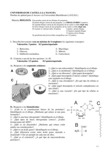 UNIVERSIDAD DE CASTILLALA MANCHA Pruebas de aptitud para el Acceso a la Universidad Bachillerato LOGSE Materia BIOLOGÍA Esta prueba consta de tres bloques de preguntas El primer bloque consta de una pregunta y es OBLIGATORIO 3 puntos El segundo bloque consta de dos preguntas de las cuales se debe elegir una El tercer bloque consta de dos preguntas de las cuales se debe elegir una El examen se valorará sobre 10 puntos 3 puntos primer bloque 35 puntossegundo bloque 35 puntostercer bloque Se penal…