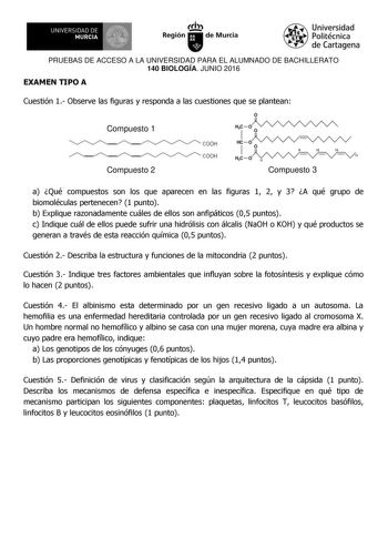 11  UNIVERSIDAD DE MURCIA 1 1 Ih Región de Murcia Universidad Politécnica de Cartagena PRUEBAS DE ACCESO A LA UNIVERSIDAD PARA EL ALUMNADO DE BACHILLERATO 140 BIOLOGÍA JUNIO 2016 EXAMEN TIPO A Cuestión 1 Observe las figuras y responda a las cuestiones que se plantean o Compuesto 1 Compuesto 2 COOH COOH e o 1o HC  0 1o e o  Compuesto 3 a Qué compuestos son los que aparecen en las figuras 1 2 y 3 A qué grupo de biomoléculas pertenecen 1 punto b Explique razonadamente cuáles de ellos son anfipátic…