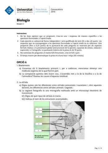 Universitat Prava daccés Convocatria de les Illes Balears a la Universitat 2015 Biologia Model 3 Instruccions 1 De les dues opcions que us proposam triaune una i responeu de manera específica a les qestions formulades a lopció triada 2 Cada qestió es valorar de forma independent i ser qualificada de zero 0 a dos 2 punts Les respostes que no corresponguin a les qestions formulades a lopció triada no es valoraran Una proporció fins a 025 punts de la puntuació de cada pregunta es reservar per als …