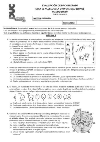 EVALUACIÓN DE BACHILLERATO PARA EL ACCESO A LA UNIVERSIDAD EBAU FASE DE OPCIÓN CURSO 20182019 MATERIA BIOLOGÍA 3 Convocatoria Instrucciones Se debe elegir una de las dos opciones A o B de las que presenta el ejercicio Cada opción consta de 10 preguntas que podrán contener dos o más cuestiones Cada pregunta tiene una calificación máxima de 1 punto No está permitido mezclar cuestiones de las dos opciones OPCIÓN A 1 La revisión exhaustiva de 56 investigaciones encargadas por la Organización Mundia…