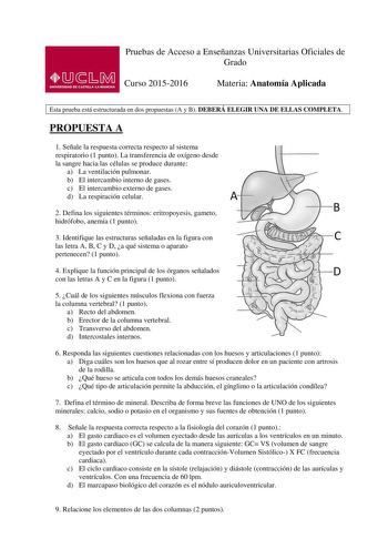 Pruebas de Acceso a Enseñanzas Universitarias Oficiales de Grado Curso 20152016 Materia Anatomía Aplicada Esta prueba está estructurada en dos propuestas A y B DEBERÁ ELEGIR UNA DE ELLAS COMPLETA PROPUESTA A 1 Señale la respuesta correcta respecto al sistema respiratorio 1 punto La transferencia de oxígeno desde la sangre hacia las células se produce durante a La ventilación pulmonar b El intercambio interno de gases c El intercambio externo de gases d La respiración celular A 2 Defina los sigu…