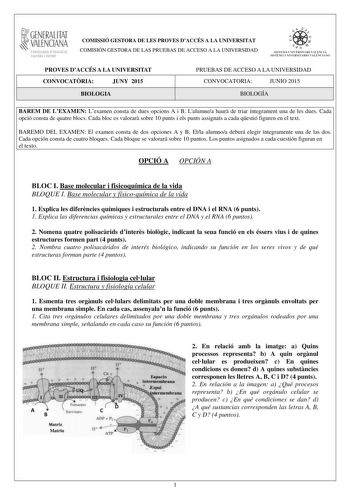 1GENERALITAT  VALENCIANA CONSELLERIA DEDUCACIÓ CULTURA I ESPORT COMISSIÓ GESTORA DE LES PROVES DACCÉS A LA UNIVERSITAT COMISIÓN GESTORA DE LAS PRUEBAS DE ACCESO A LA UNIVERSIDAD  11  SISTEJiL UNIVERSITARI VALElCIA SISTEIA t NIVlRS1rHIO VALllCIA10 PROVES DACCÉS A LA UNIVERSITAT CONVOCATRIA JUNY 2015 BIOLOGIA PRUEBAS DE ACCESO A LA UNIVERSIDAD CONVOCATORIA JUNIO 2015 BIOLOGÍA BAREM DE LEXAMEN Lexamen consta de dues opcions A i B Lalumnea haur de triar íntegrament una de les dues Cada opció consta…