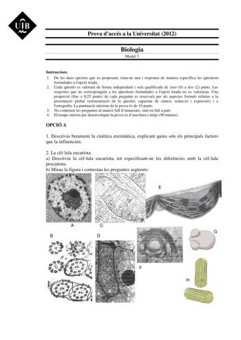 UIB M Prova daccés a la Universitat 2012 Biologia Model 3 Instruccions 1 De les dues opcions que us proposam triaune una i responeu de manera específica les qestions formulades a lopció triada 2 Cada qestió es valorar de forma independent i ser qualificada de zero 0 a dos 2 punts Les respostes que no corresponguin a les qestions formulades a lopció triada no es valoraran Una proporció fins a 025 punts de cada pregunta es reservar per als aspectes formals relatius a la presentació global estruct…