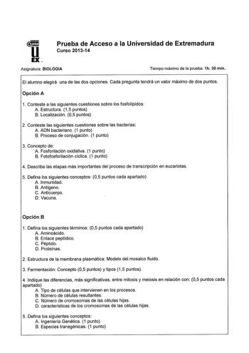 u EX Prueba de Acceso a la Universidad de Extremadura Curso 201314 Asignatura BIOLOGIA Tiempo máximo de la prueba 1h 30 min El alumno elegirá una de las dos opciones Cada pregunta tendrá un valor máximo de dos puntos Opción A 1 Conteste a las siguientes cuestiones sobre los fosfolípidos A Estructura 15 puntos B Localización 05 puntos 2 Conteste las siguientes cuestiones sobre las bacterias A ADN bacteriano 1 punto B Proceso de conjugación 1 punto 3 Concepto de A Fosforilación oxidativa 1 punto …