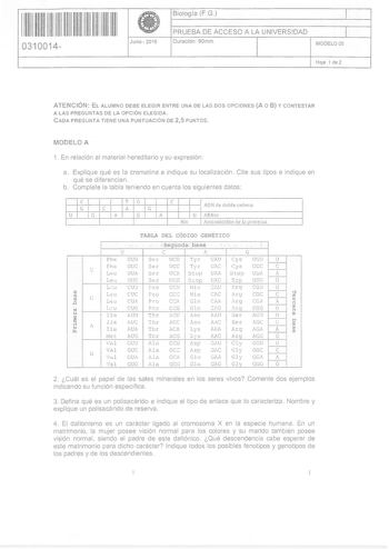 11111111111111111111 0310014 el Junio 2016 Biología FG 1 PRUEBA DE ACCESO A LA UNIVERSIDAD 1 Duración 90m1n MODELO 05 Hoa 1 de 2 ATENCIÓN EL ALUMNO DEBE ELEGIR ENTRE UNA DE LAS DOS OPCIONES A O 8 Y CONTESTAR A LAS PREGUNTAS DE LA OPCIÓN ELEGIDA CADA PREGUNTA TIENE UNA PUNTUACIÓN DE 25 PUNTOS MODELO A 1 En relación al material hereditario y su expresión a Explique qué es la cromatina e indique su localización Cite sus tipos e indique en qué se diferencian b Complete la tabla teniendo en cuenta l…