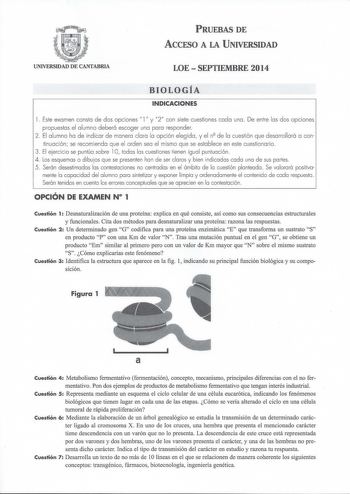 PRUEBAS DE ACCESO A LA UNIVERSIDAD UNIVERSIDAD DE CANTABRIA LOE  SEPTIEMBRE 2014 BIOLOGÍA INDICACIONES 1 Este examen consta de dos opciones l y 2 con siete cuestiones cada una De entre las dos opciones propuestas el alumno deberá escoger una para responder 2 El a lumno ha de indicar de manera clara la opción elegida y el n de la cuestión que desarrollará a conti nuación se recomienda que el orden sea el mismo que se establece en este cuestionario 3 El ejercicio se puntúa sobre 1O todas las cues…