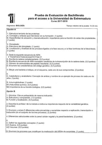 Prueba de Evaluación de Bachillerato para el acceso a la Universidad de Extremadura Curso 20172018 Asignatura BIOLOGÍA Opción A Tiempo máximo de la prueba 1h30 min 1 Estructura terciaria de las proteínas A Concepto y enlaces que intervienen en su formación 1 punto B Especificidad de actuación y desnaturalización importancia para su función de estas dos propiedades 1 punto 2 Cloroplasto A Estructura del cloroplasto 1 punto B Localización y finalidad de los procesos ligados a la fase oscura y a l…