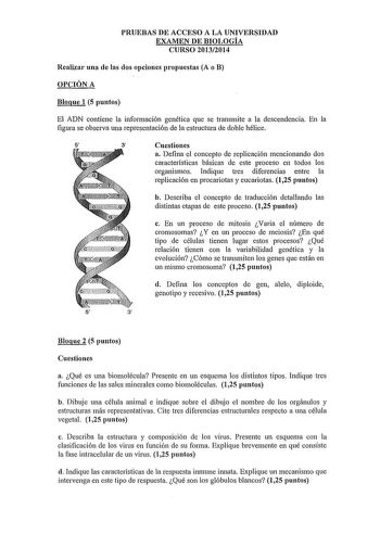 PRUEBAS DE ACCESO A LA UNIVERSIDAD EXAMEN DE BIOLOGÍA CURSO 20132014 Realizar una de las dos opciones propuestas A o B OPCIÓN A Bloque 1 5 puntos El ADN contiene la información genética que se transmite a la descendencia En la figura se observa una representación de la estructura de doble hélice 5 3 Cuestiones a Defina el concepto de replicación mencionando dos características básicas de este proceso en todos los organismos Indique tres diferencias entre la replicación en procariotas y eucariot…