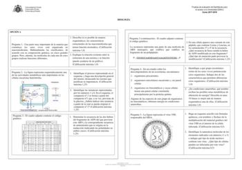 Examen de Biología (EBAU de 2018)