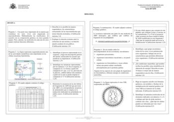 BIOLOGÍA Pruebas de evaluación de Bachillerato para el acceso a la Universidad EBAU Curso 20172018 OPCIÓN A Pregunta 1 Una parte muy importante de la materia que constituye los seres vivos está organizada en macromoléculas Habitualmente las clasificamos de acuerdo con su composición química en cinco grandes grupos Pero además las moléculas de cada uno de estos grupos realizan funciones diferentes 1 Describa si es posible de manera esquemática las características estructurales de las macromolécu…