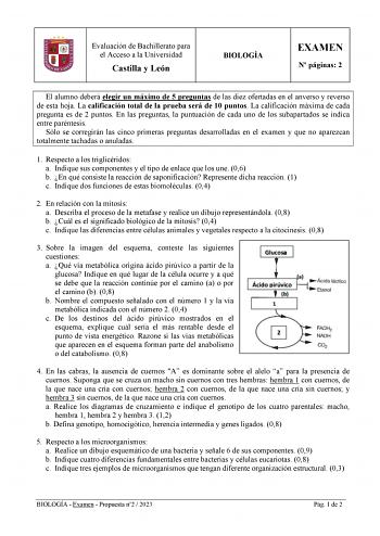 Evaluación de Bachillerato para el Acceso a la Universidad Castilla y León BIOLOGÍA EXAMEN N páginas 2 El alumno deberá elegir un máximo de 5 preguntas de las diez ofertadas en el anverso y reverso de esta hoja La calificación total de la prueba será de 10 puntos La calificación máxima de cada pregunta es de 2 puntos En las preguntas la puntuación de cada uno de los subapartados se indica entre paréntesis Sólo se corregirán las cinco primeras preguntas desarrolladas en el examen y que no aparez…