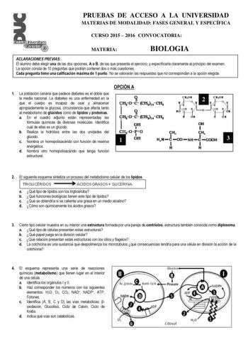 Disbito cananasr w  PRUEBAS DE ACCESO A LA UNIVERSIDAD MATERIAS DE MODALIDAD FASES GENERAL Y ESPECÍFICA CURSO 2015  2016 CONVOCATORIA MATERIA BIOLOGIA ACLARACIONES PREVIAS El alumno debe elegir una de las dos opciones A o B de las que presenta el ejercicio y especificarla claramente al principio del examen La opción consta de 10 preguntas que podrán contener dos o más cuestiones Cada pregunta tiene una calificación máxima de 1 punto No se valorarán las respuestas que no correspondan a la opción…