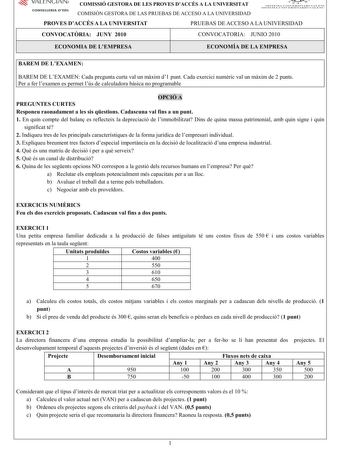 Examen de Economía de la Empresa (PAU de 2010)