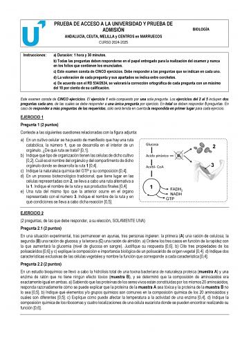 Examen de Biología (PEvAU de 2025)