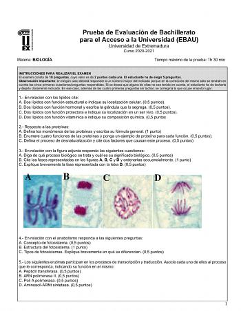 Examen de Biología (EBAU de 2021)