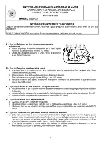 UNIVERSIDADES PÚBLICAS DE LA COMUNIDAD DE MADRID EVALUACIÓN PARA EL ACCESO A LAS ENSEÑANZAS UNIVERSITARIAS OFICIALES DE GRADO Curso 20192020 MATERIA BIOLOGÍA INSTRUCCIONES GENERALES Y CALIFICACIÓN Después de leer atentamente el examen responda a cinco preguntas cualesquiera a elegir entre las diez que se proponen TIEMPO Y CALIFICACIÓN 90 minutos Todas las preguntas se calificarán sobre 2 puntos A1 2 puntos Referente a los virus como agentes causantes de enfermedades a Nombre el proceso de infec…